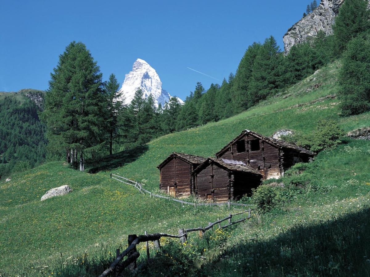Apartment Aquila By Interhome Zermatt Eksteriør bilde